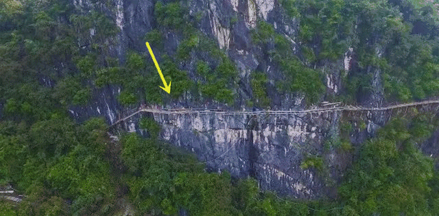 微信图片_20191206102731.gif